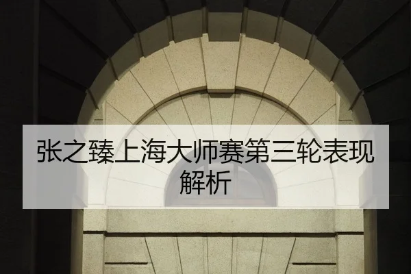 张之臻上海大师赛第三轮表现解析